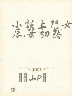 小说上门女婿叶辰,萧初然