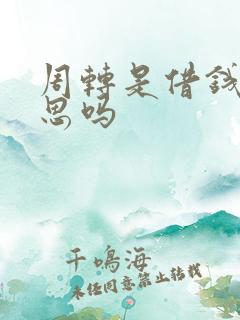 周转是借钱的意思吗