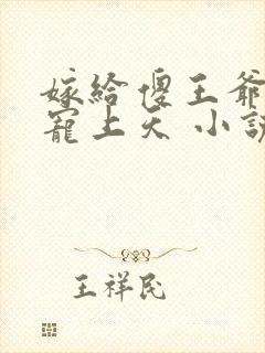 嫁给傻王爷后被宠上天 小说