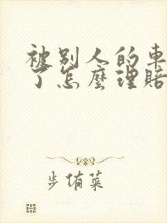 被别人的车撞到了怎么理赔