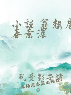 小说 翁想房中春意浓