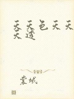 天天色天天操天天透