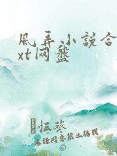 风弄小说合集txt网盘