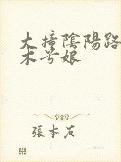 大撞阴阳路by木兮娘