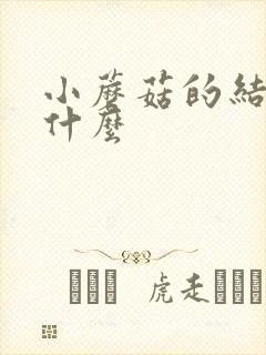 小蘑菇的结局是什么