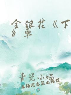 金银花《下厨房》车