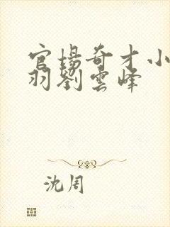 官场奇才小说陆羽刘云峰