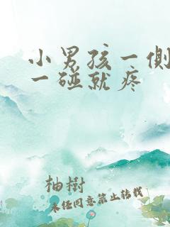 小男孩一侧睾丸一碰就疼