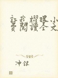 许我耀眼小说免费阅读全文最新章节