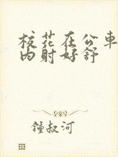 校花在公车上被内射好舒