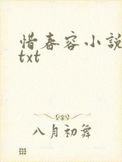 惜春容小说网盘txt