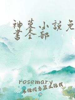 神墓小说免费听书全部