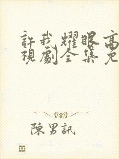 许我耀眼高清电视剧全集免费观看