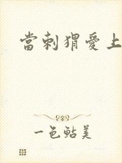 当刺猬爱上玫瑰