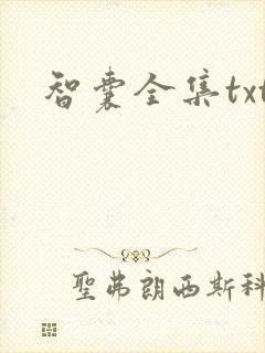 智囊全集txt