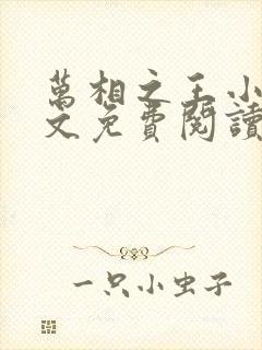 万相之王小说全文免费阅读无弹窗