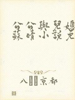 公公与儿媳小说苏晴小说免费