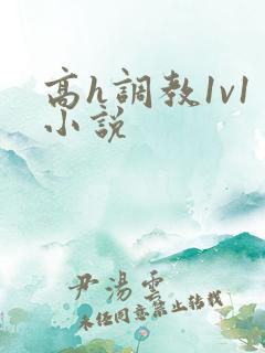 高h调教1v1小说