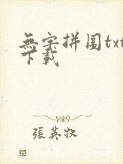 无字拼图txt下载