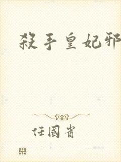 杀手皇妃邪魅帝