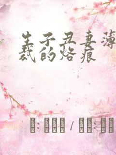 生子丑妻薄情总裁的烙痕