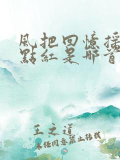 风把回忆摇落一点红是哪首歌的歌词