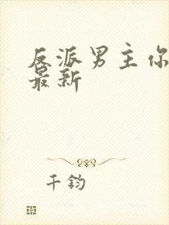 反派男主你好坏最新