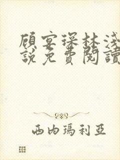 顾宴琛林浅月小说免费阅读最新章节