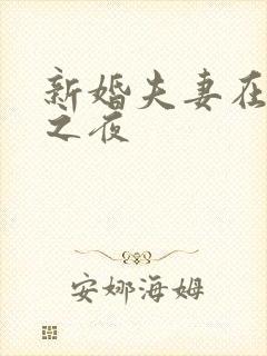 新婚夫妻在新婚之夜