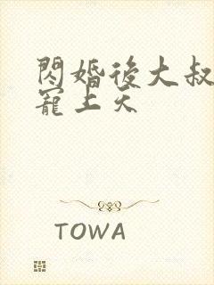 闪婚后大叔把我宠上天