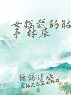 女总裁的贴身高手 林辰