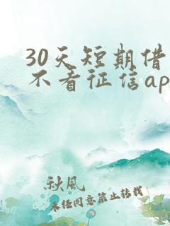 30天短期借款不看征信app