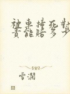 被车撞死对方全责能赔多少