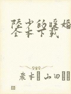 陆少的暖婚新妻全本下载