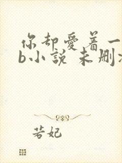 你却爱着一个sb小说 未删减完整版百度云