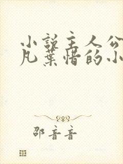 小说主人公叫林凡叶惜的小说