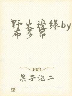 野火边缘by夏布多昂