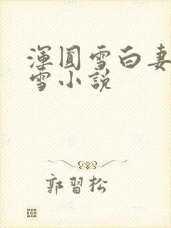 浑圆雪白妻子杨雪小说