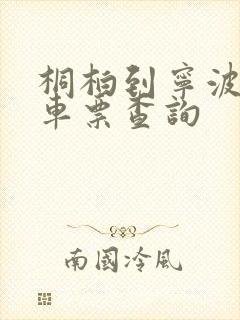 桐柏到宁波的火车票查询