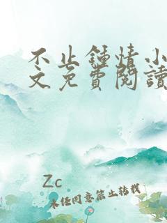 不止钟情小说全文免费阅读