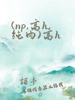 (np,高h,纯肉)高h
