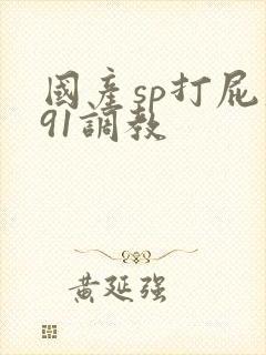 国产sp打屁股91调教