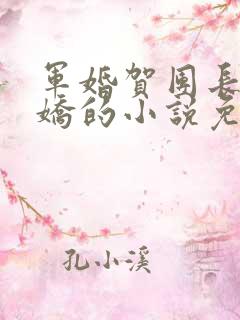 军婚贺团长和何娇的小说免费阅读