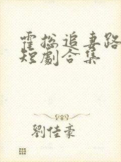 霍总追妻路漫漫短剧合集