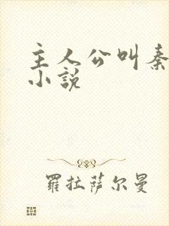 主人公叫秦昊的小说