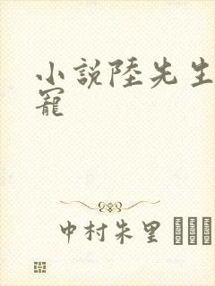 小说陆先生放肆宠