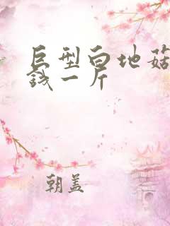 巨型白地菇多少钱一斤