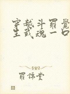 穿越斗罗觉醒十生武魂一口气看完