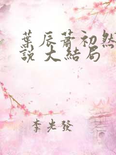 叶辰萧初然 小说 大结局