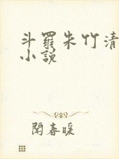 斗罗朱竹清同人小说